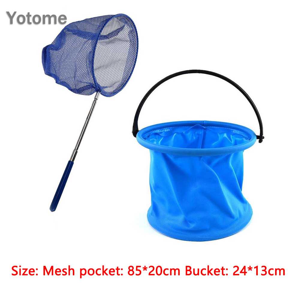 Vợt Lưới Bắt Bướm, Côn Trùng Cho Trẻ