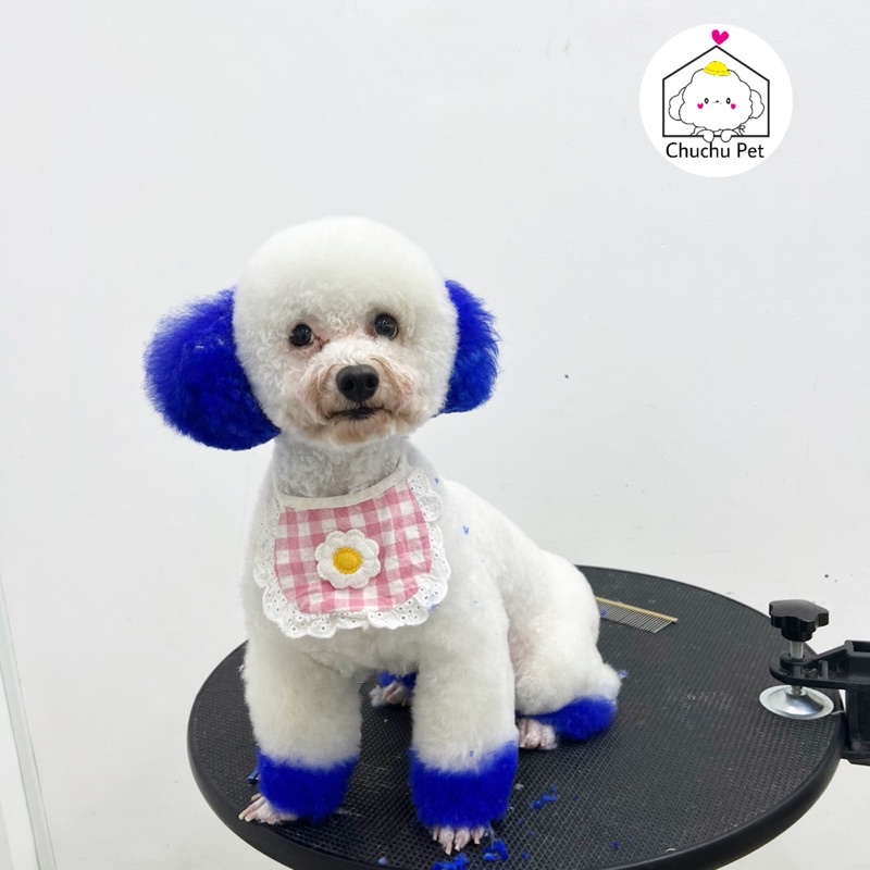 Màu nhuộm thú cưng Blooklyn-ChuChu Pet