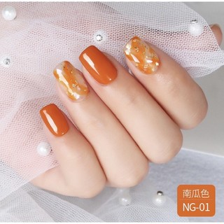 Sơn gel As mã NG