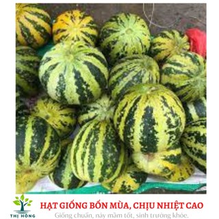 Hạt giống dưa bở (quả tròn, ăn bở, thơm ngon)