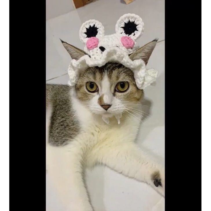 Mũ len hình con ếch cute dễ thương dành cho mèo