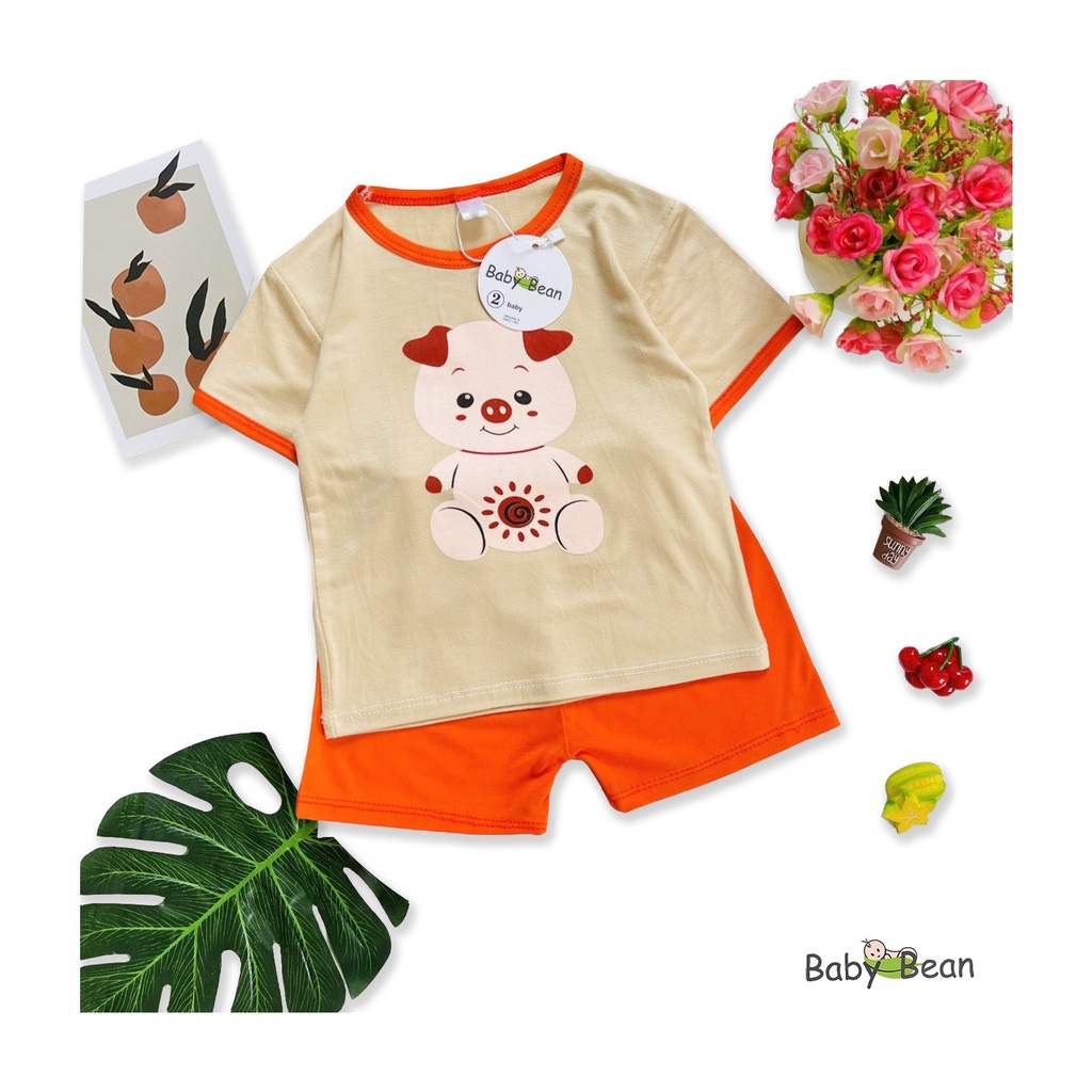 Bộ Đồ Thun Lạnh Tay Ngắn Quần Ngắn Bé Sơ Sinh Gái BabyBean MÀU NGẪU NHIÊN (7kg-13kg)