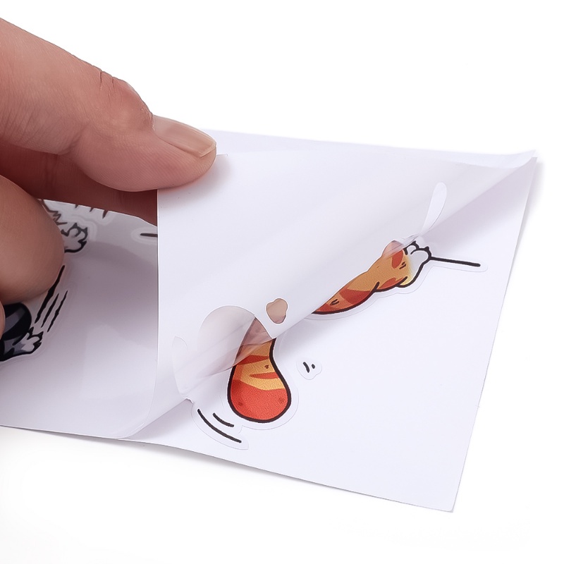 Miếng Dán Trang Trí Xe Hơi Hình Mèo Leo Trèo Vui Nhộn DIY