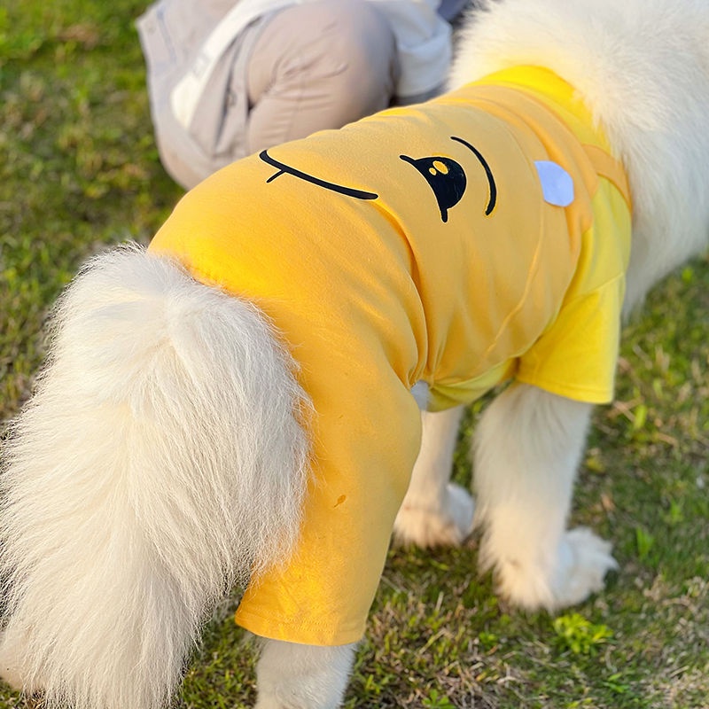 Áo Thun Xuân Thu Cho Cún Cưng Samoyed Gold Retriever Labra Polygonal Shiba Inu Cỡ Vừa Và Lớn