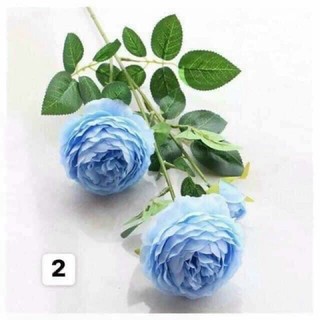 hoa trà 2 bông 1 nụ hàng đẹp.