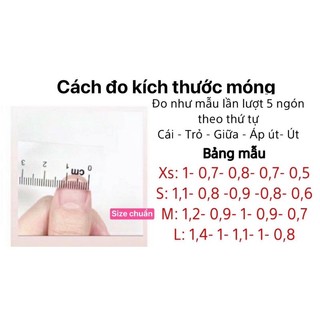 Nailbox nhũ flash đính đá