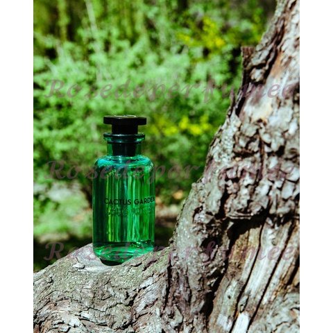 Nước Hoa Louis Vuitton Cactus Garden 5ml/10ml - 𝘙𝘰𝘴𝘦𝘥𝘦𝘱𝘦𝘳𝘧𝘶𝘮𝘦𝘦