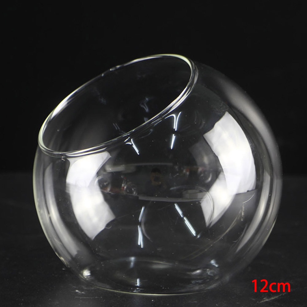 Chậu Kính Trồng Cây Mọng Nước 12cm