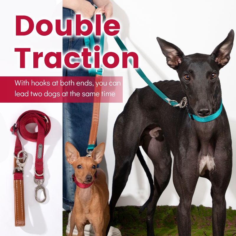 HamshMoc Vòng Cổ Mềm Mại Có Khóa An Toàn Tháo Gỡ Nhanh Cho Thú Cưng Cỡ Nhỏ / Vừa / Lớn