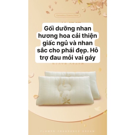 Gối matxa dưỡng nhan hương hoa kt 48*74cm(1 chiếc)hh