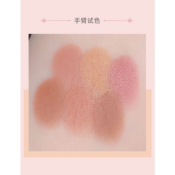 Phấn Má Hồng Tone Đất Màu Nude Tây 6 Ô Mini Hình Gấu - Blush Palette