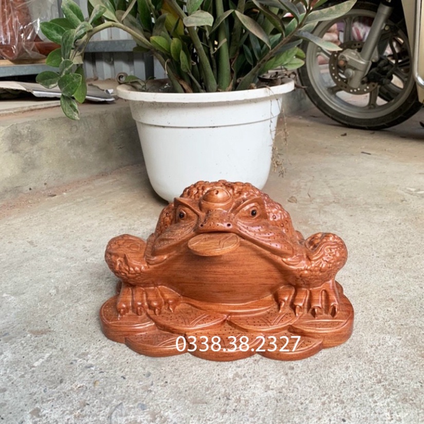 Tượng cóc ngậm tiền thiềm thừ rộng 30 35cm và 40cm được làm bằng gỗ hương nguyên khối