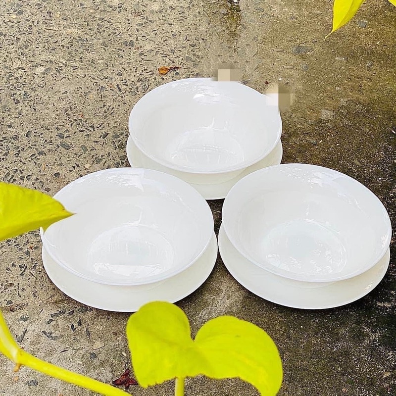 Combo Bộ Tô Dĩa Sứ Thủy Tinh Luminarc Cao Cấp (Gồm 1 Dĩa 19 cm, 1 Tô 18cm)