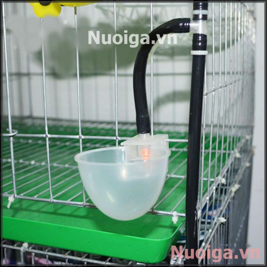 1 Bộ cóng tự động máng uống nước bồ câu chim gà+ Chữ T rẽ nhánh