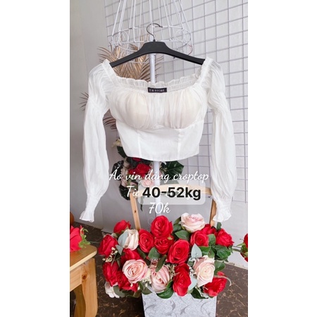 Áo vin thun dáng croptop