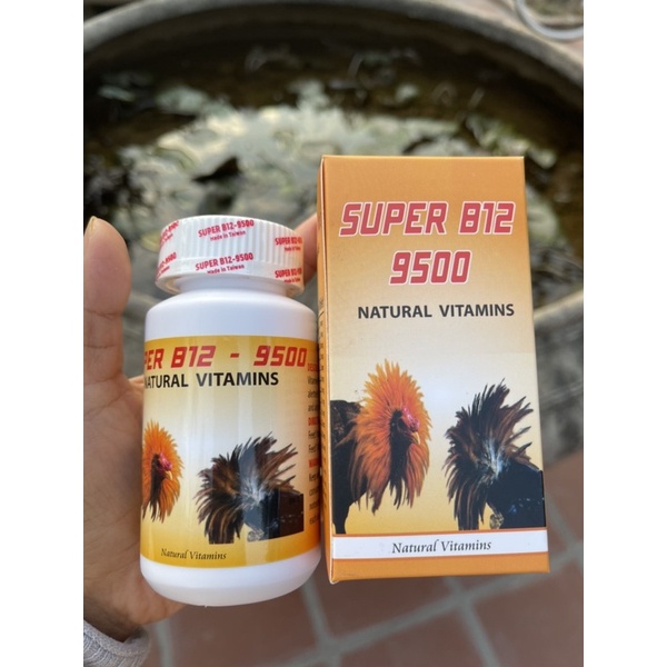 B12.9500 Gom bo tuần cuối hủ zin 100 viên tặng chai chích 5cc