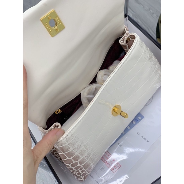 Cn coco bạch tạng khoá vàng