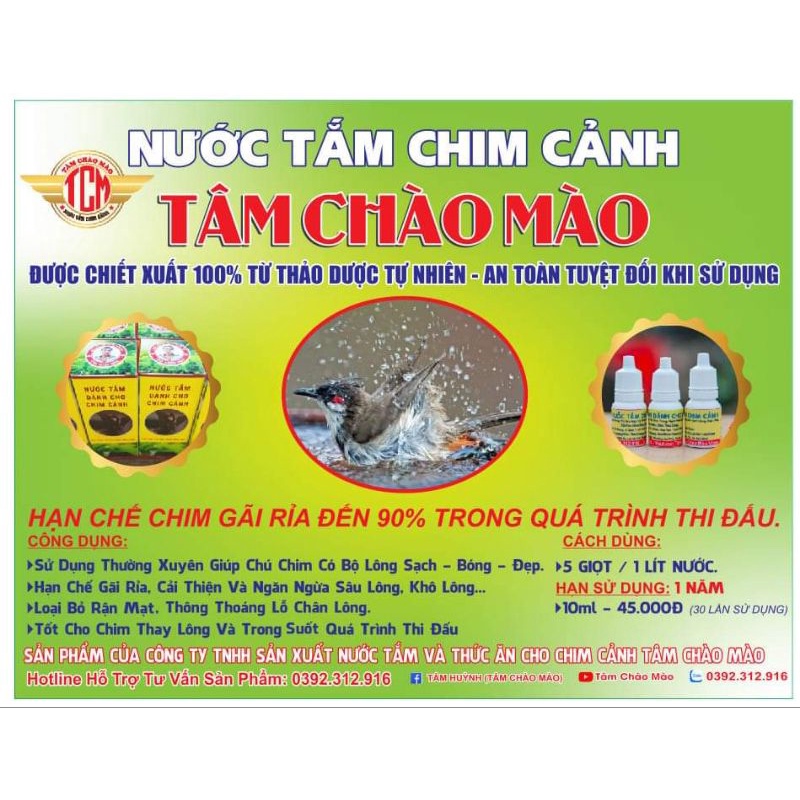 Nước tắm cho chim chào mào tâm chào mào