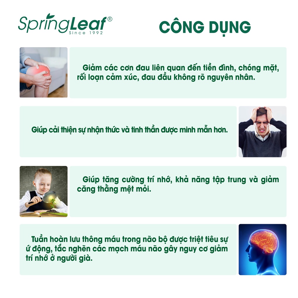 Viên uống Ginkgo Biloba Spring Leaf  2000mg hỗ trợ cải thiện tuần hoàn máu não  120 viên Úc