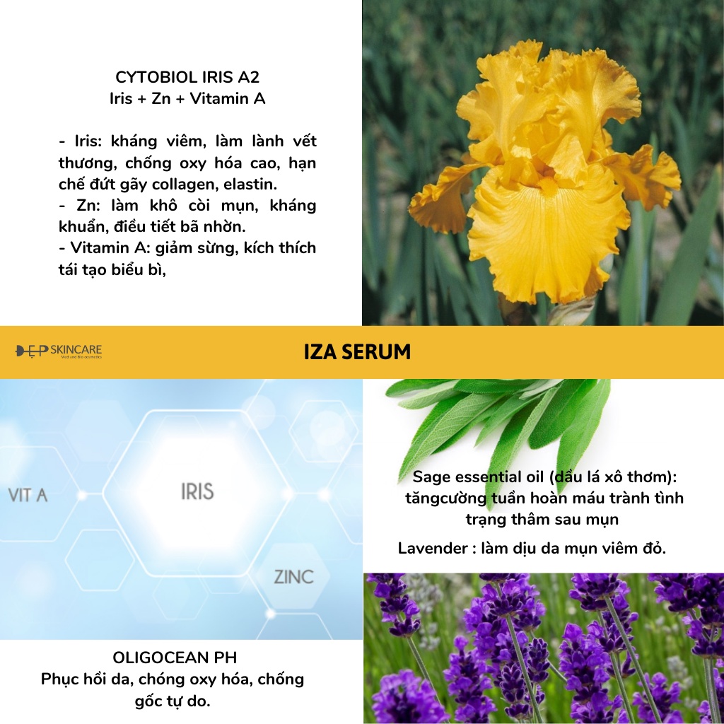 Serum tinh chất IZA Dành Cho Da Dầu, Mụn Trứng Cá - Beauty Med nhập khẩu từ Pháp 30ml