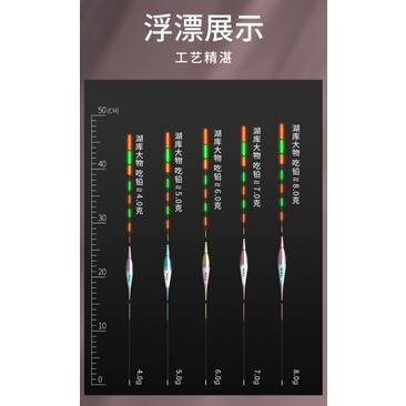 Phao điện đổi màu săn hàng cao cấp GIANG SƠN