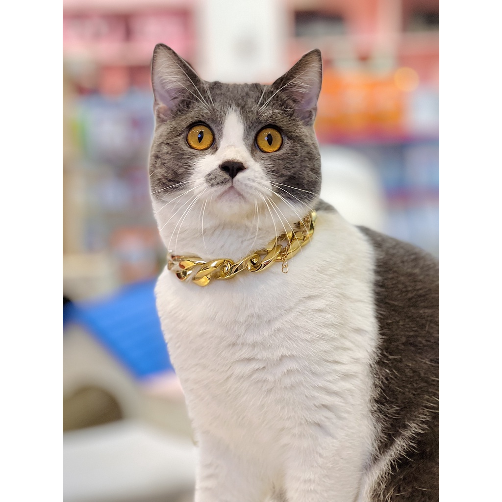 DÂY CHUYỀN VÀNG SIÊU NGẦU - MẬT PET FAMILY