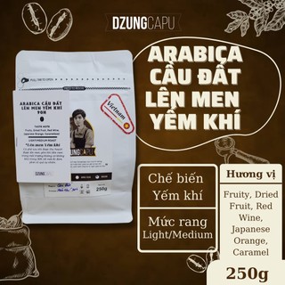 Cà phê arabica cầu đất - sơ chế yếm khí vụ 2024 - gói 250g - dzungcapu specialty coffee