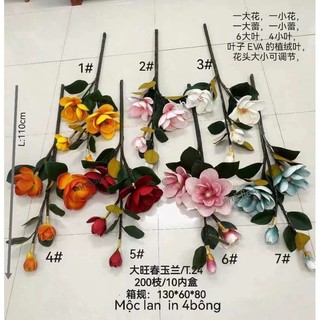 MỘC LAN ĐẠI 2 Nụ 2 Bông