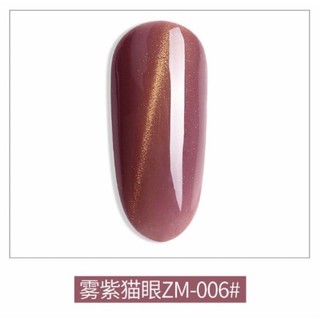 Sơn gel mắt mèo mã ZM