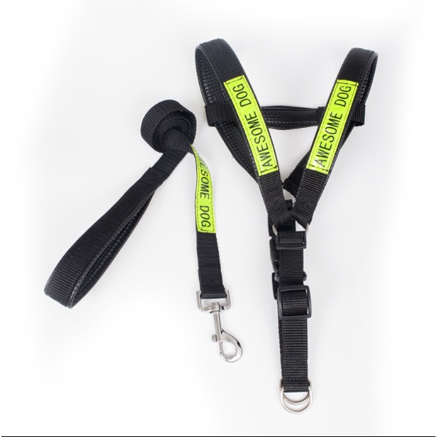 Dây police cao cấp dây dắt chó size đại chó 30-40kg