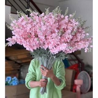 hoa phi yến giả