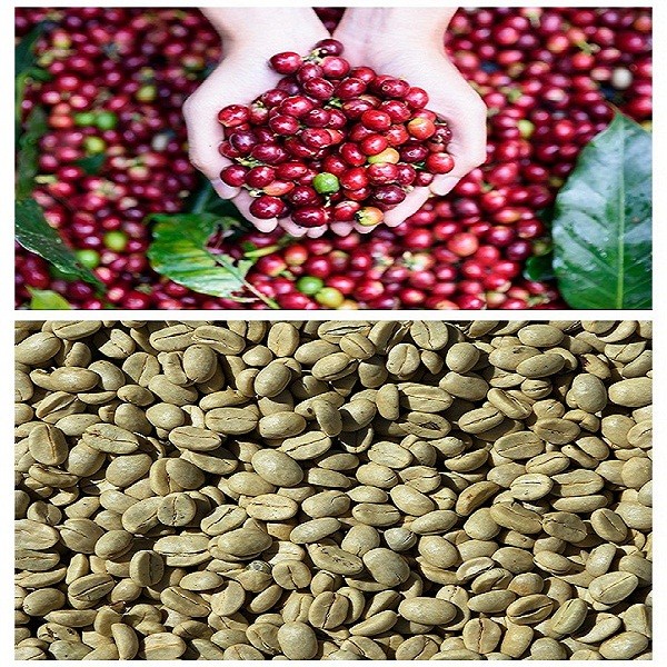 Cà phê hạt Full City Roast Highland Coffee 1kg - độ rang vừa