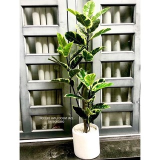 Cây bàng cẩm thạch giả 1,2m