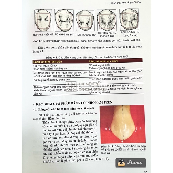 Sách - Giải Phẫu Răng Miệng Hàm Mặt Ứng Dụng Tmos