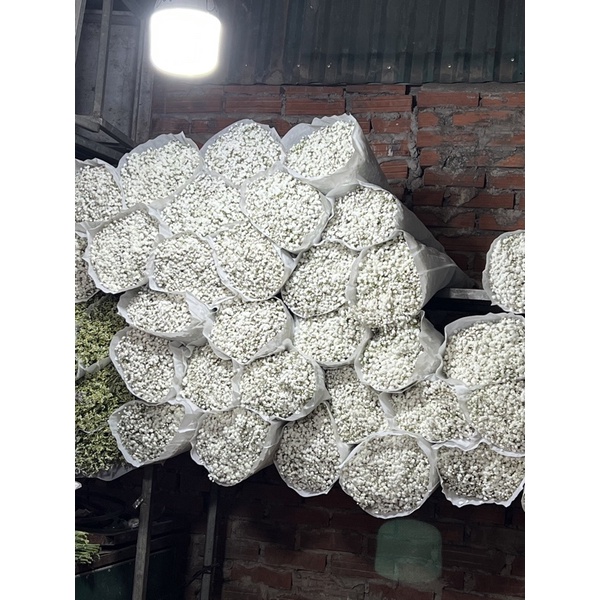 hoa bây bi trắng 800g - 1kg 0936318692 em ở hà Nội ship toàn quốc
