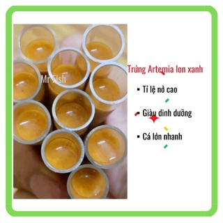 Trứng Artemia ấp nở lon xanh -Tỉ lệ nở cao- Giàu dinh dưỡng cho betta, guppy - Mr Fish +