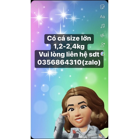 Cá dứa 1 nắng Vũng Tàu chuẩn thiên nhiên 1KG