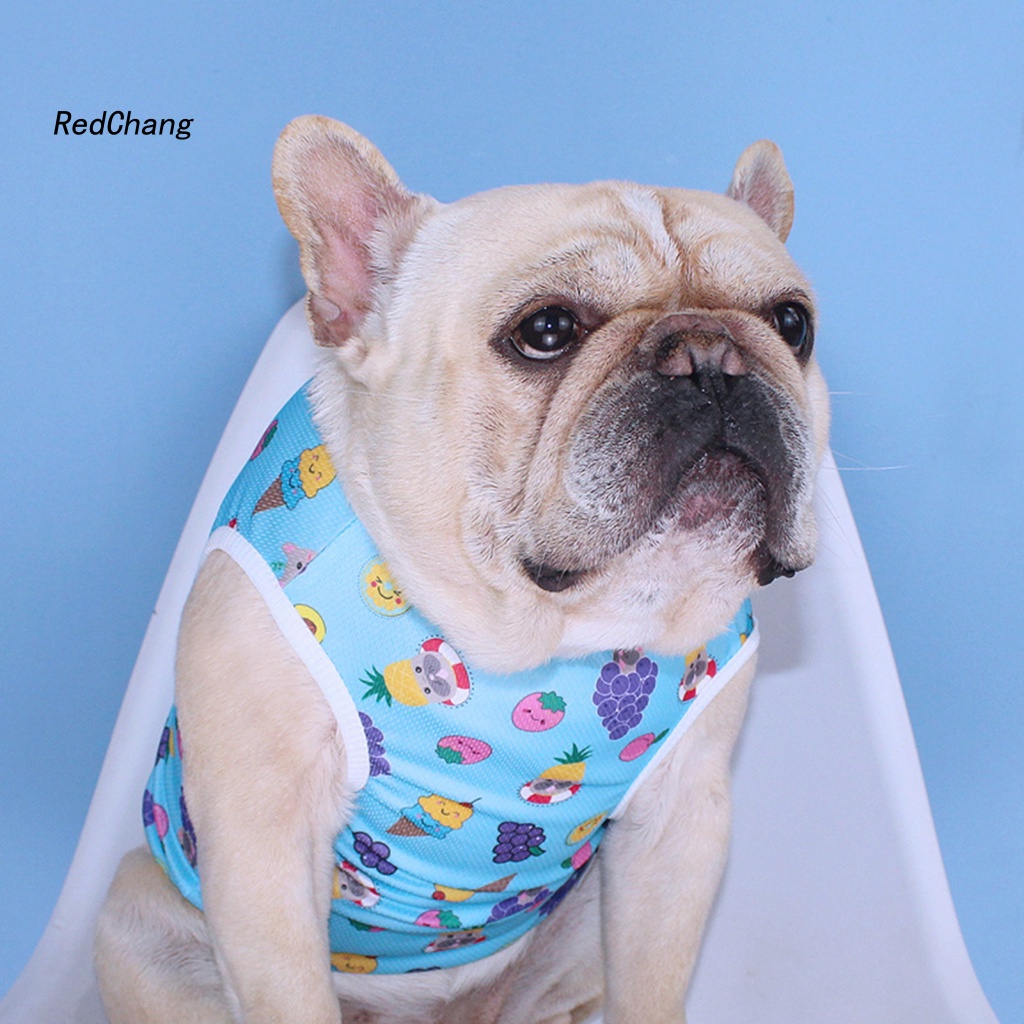 Rc ~ Áo Vest In Hình Động Vật Trái Cây Chống Mài Mòn Cho Cún Cưng