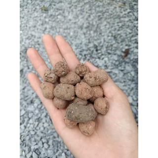 Viên đẩt nung-1kg