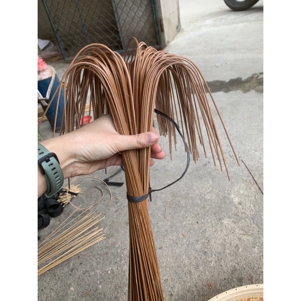 Nan trúc lồng choè , hoạ mi uốn sẵn