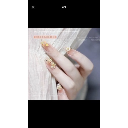 Dũa nhám móng Ding Xi chữ D