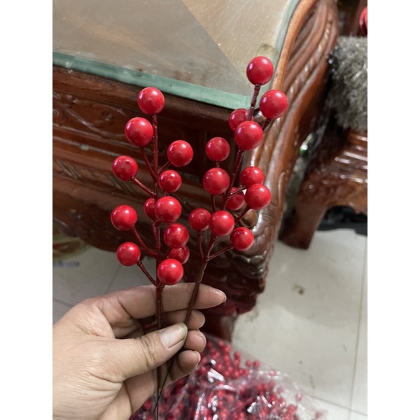 Nhánh đào đông nhỏ