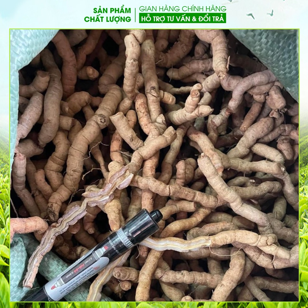 Ba kích tím Quảng Ninh  Hàng A1