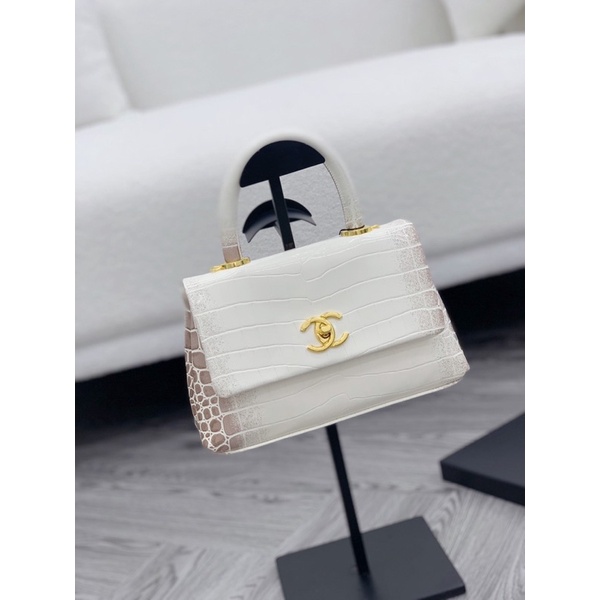 Cn coco bạch tạng khoá vàng