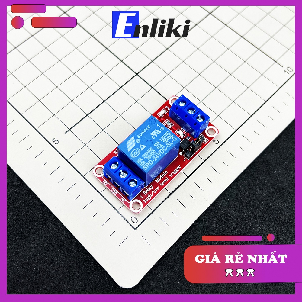 Module Relay 24V 1 Kênh Có Opto Cách Ly