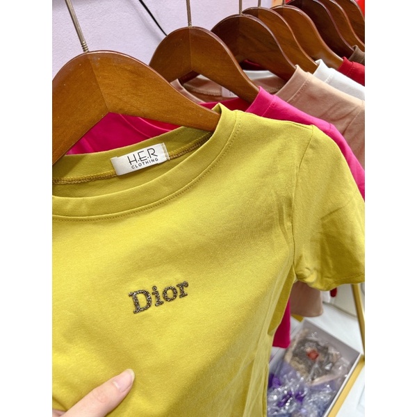 Áo phông nữ chữ diorrr đá nổi