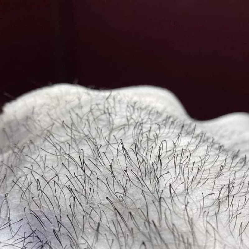 300G SÁP WAX LÔNG NÓNG  HẠT VỤN  CAO CẤP