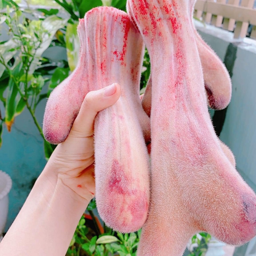 Nhung hươu khô sấy lạnh từ nhung hươu tươi thái lát, đảm bảo giữ nguyên lượng huyết, dinh dưỡng. Nhung hươu tăng cân