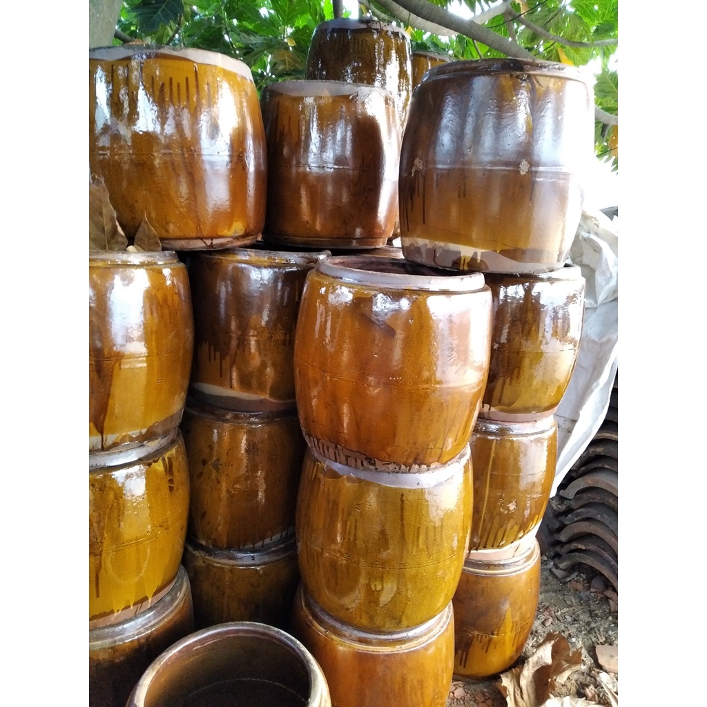 Khạp trồng sen, lu trồng cây sen, trồng cây thủy sinh