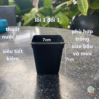 Chậu nhựa trồng sen đá, chậu trồng sen đá mini size 7x7 cm -màu đen